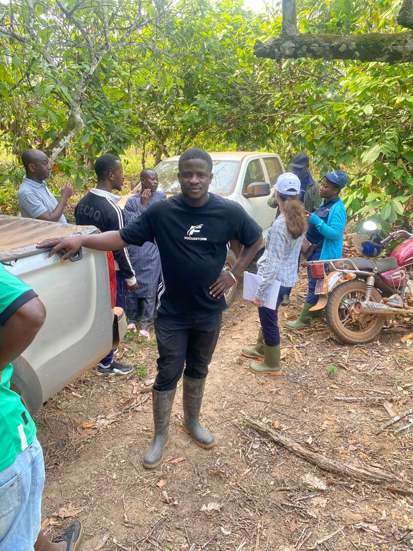 Distribution d'arbres